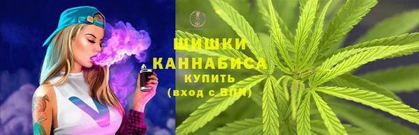 не бодяженный Бородино