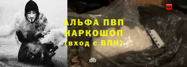 не бодяженный Бородино